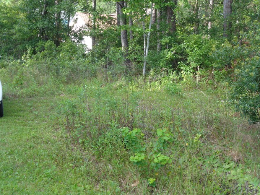 Beautifully wooded lot in fast-growing Freeport, FL.  Nice homes in the area, no HOA, no build-out times.  Easy access to the Beaches of South Walton, area restaurants and shopping.