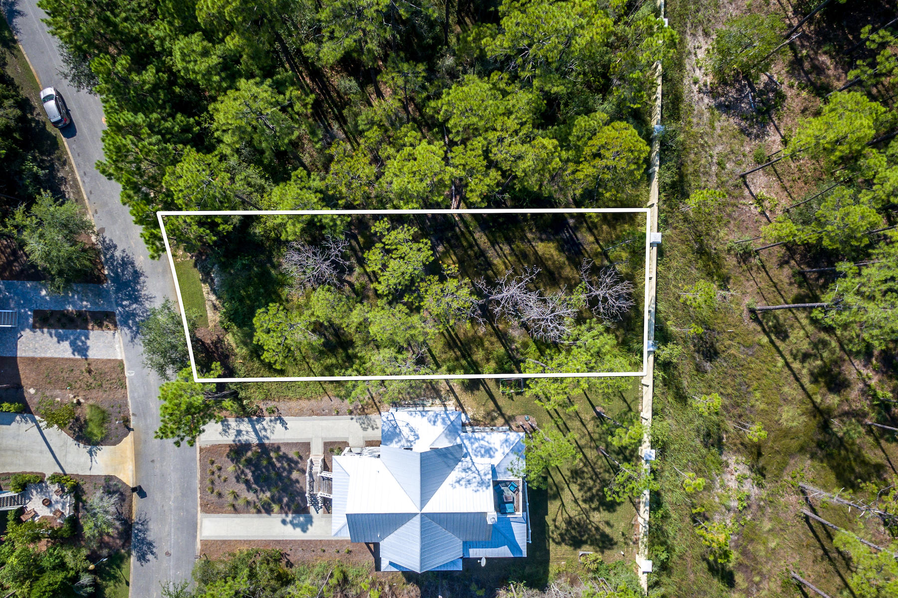 CESSNA LANDING - Land