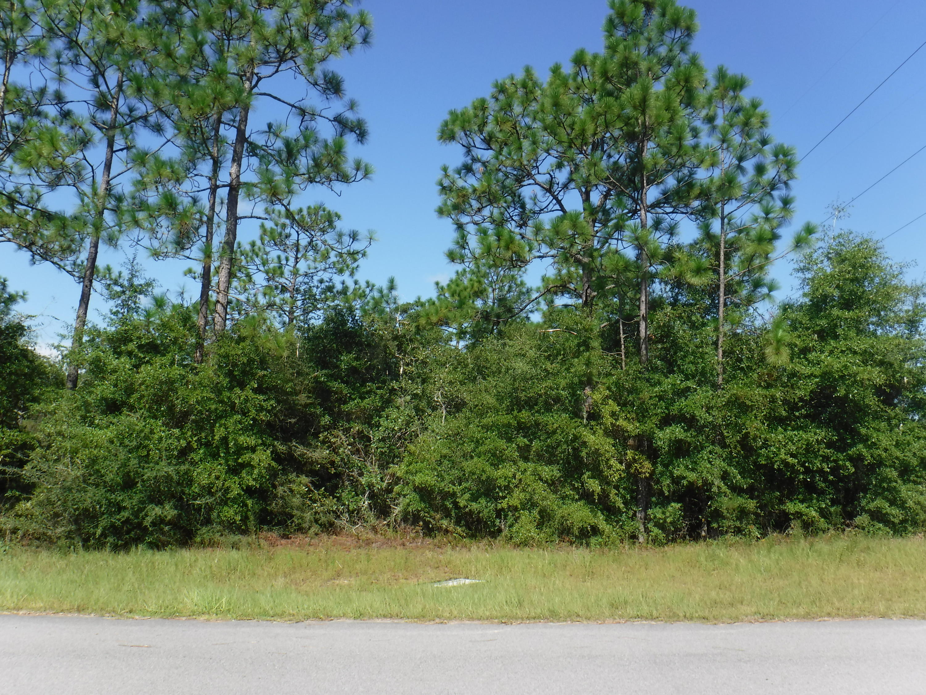 Wooded buildable lot on a paved road in the fast growing area of Mossy head. Located approximately mid-way between the DeFuniak Springs and Mossy Head I-10 interchanges. Borders a power line to the north. Water and power are available at the road.