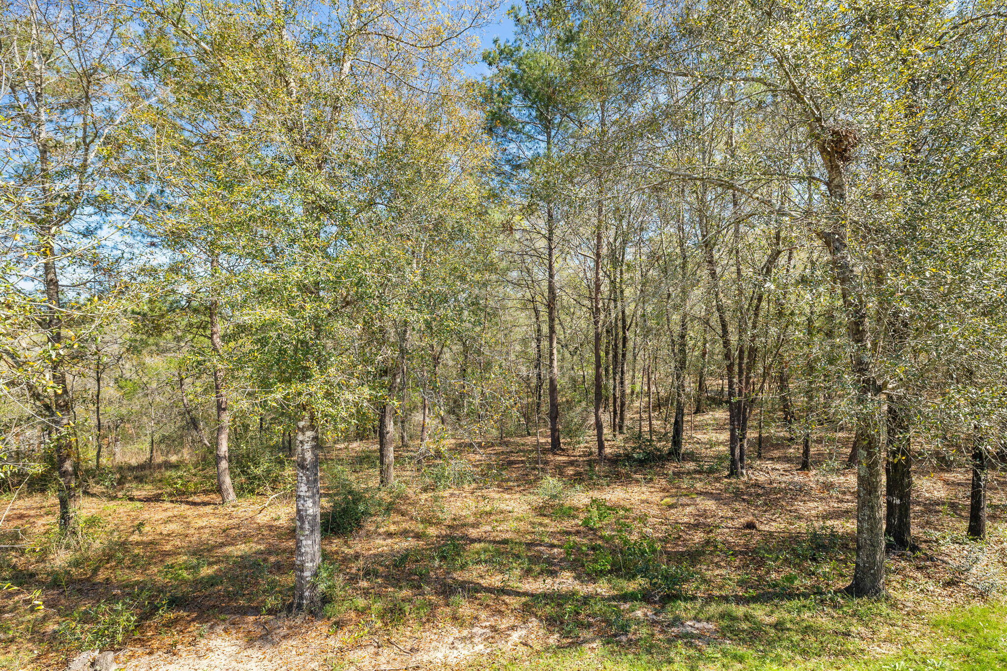 HIDDEN LAKES ESTATES - Residential