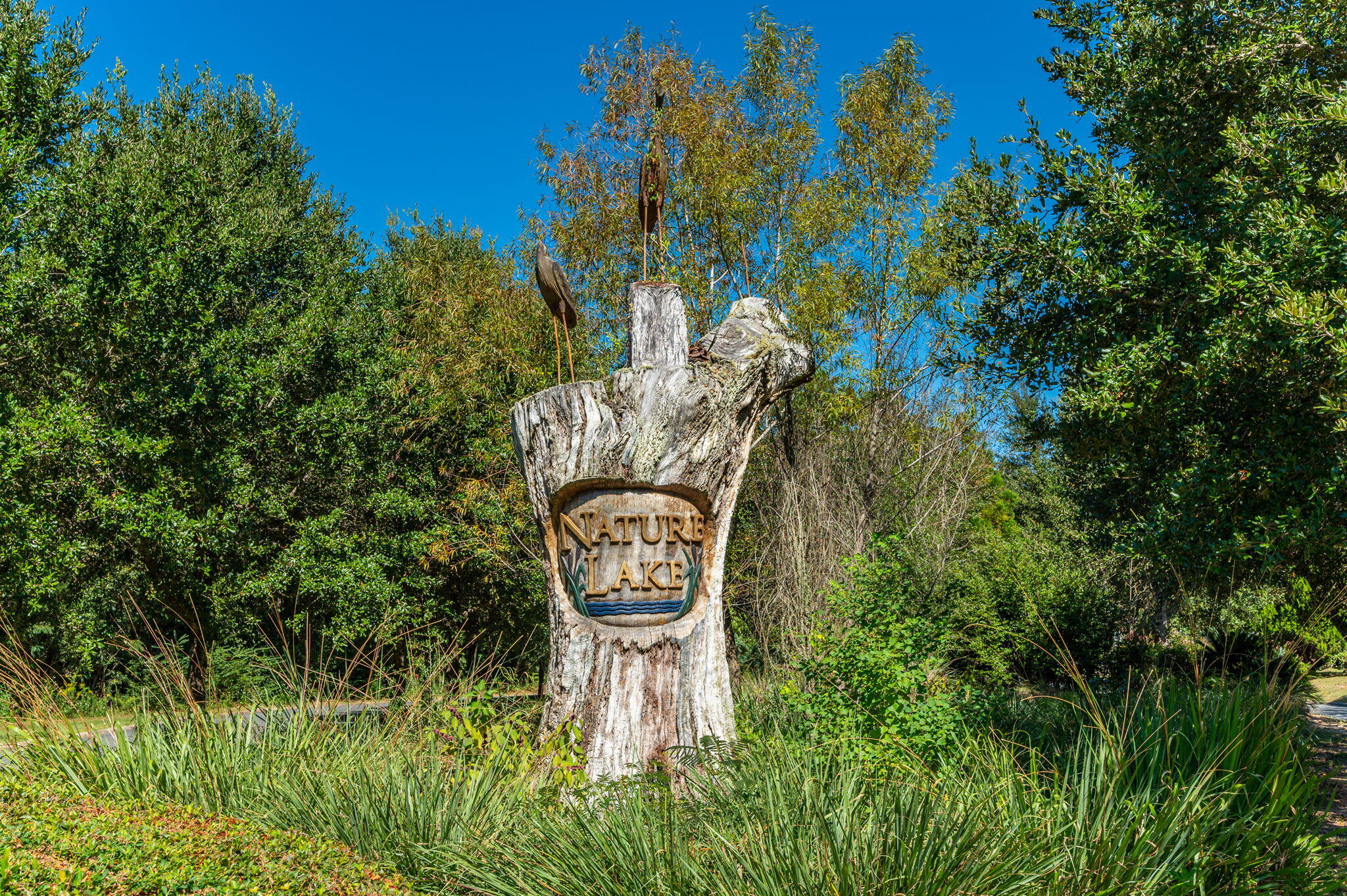 Nature Lake - Residential