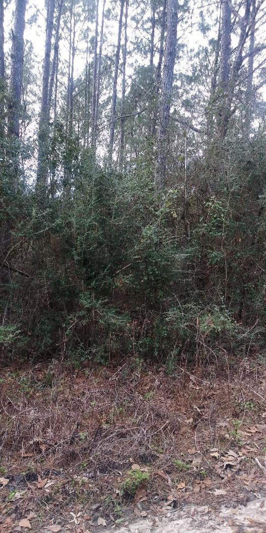 Lot is 150 x 180. At .62 acres you can build your dream home and have plenty of space for relaxing and taking in all the peace and quite of your surroundings.