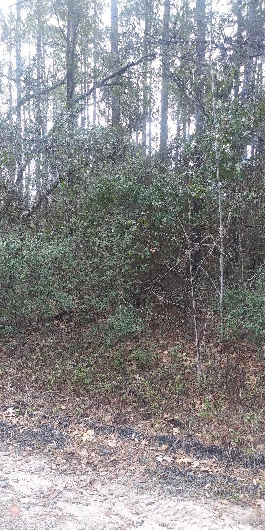 Metes and Bounds:  Lots 4 and 5, Block 10, Bay Shore Resort S/D Unrecorded - Land