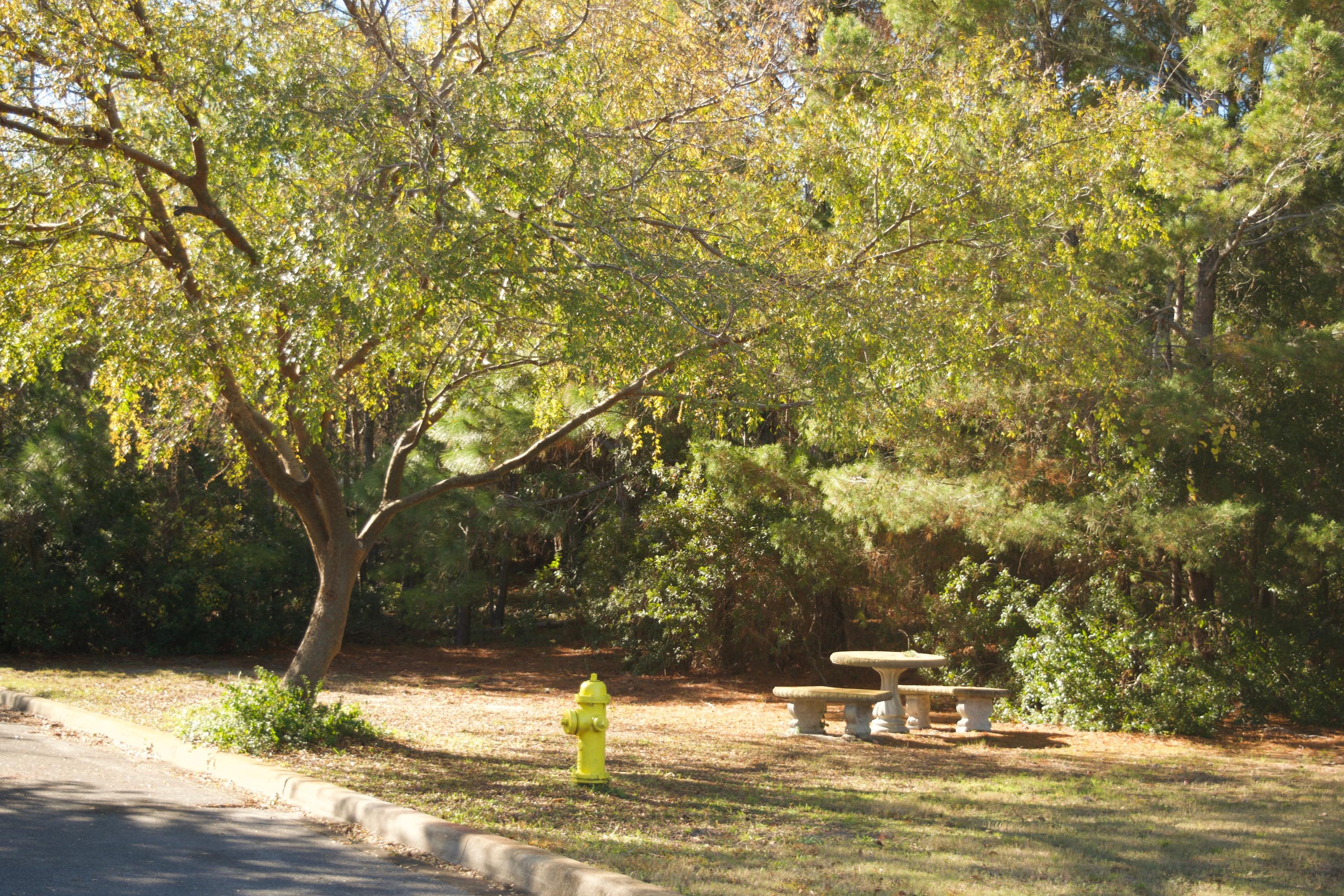 GULF PLACE CARIBBEAN CONDO - Residential