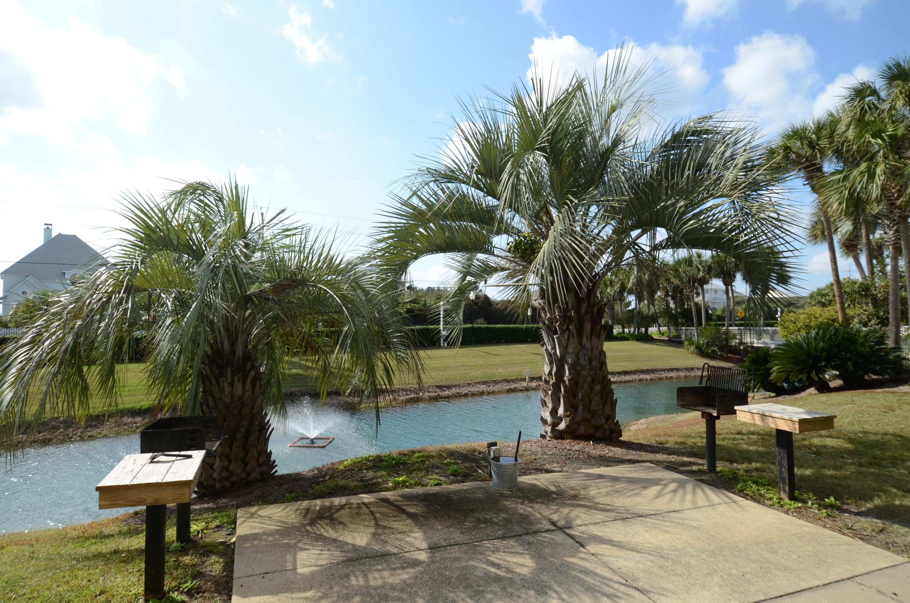 GULF PLACE CARIBBEAN CONDO - Residential