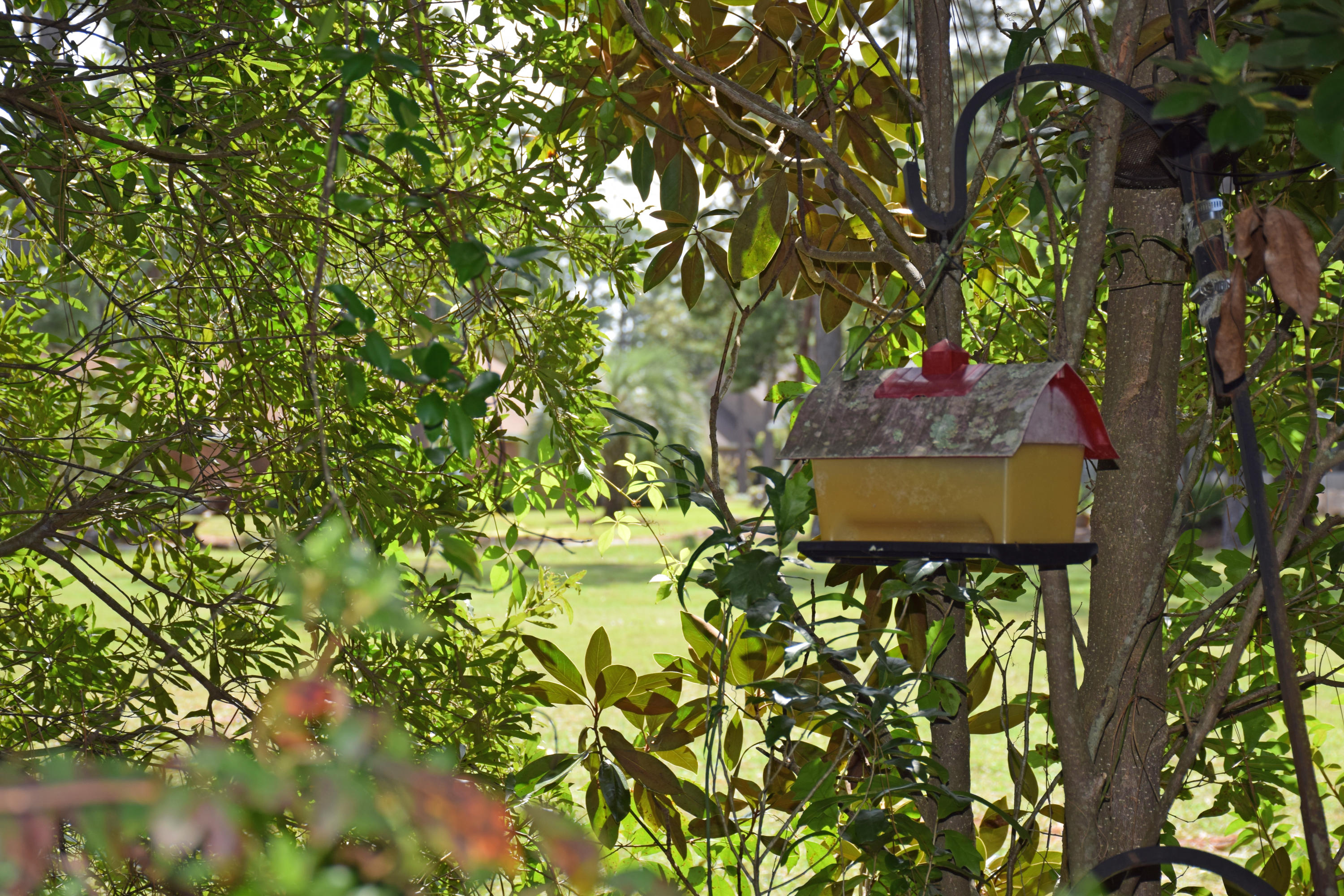 SOUTHWIND PH 4 - Residential