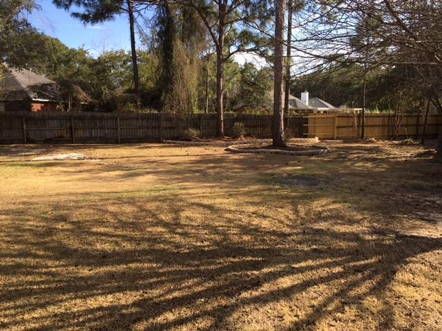 BISCAYNE POINTE - Residential