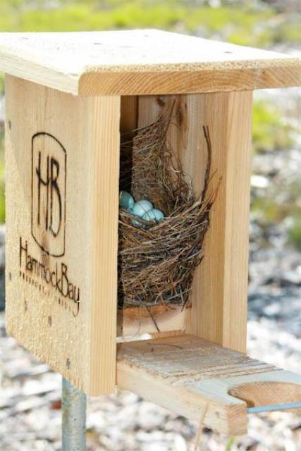 HAMMOCK BAY - Residential Lease