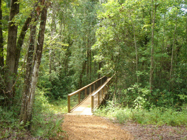 HAMMOCK BAY - Residential Lease