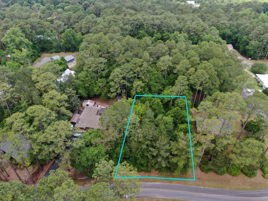 Fabulous building lot in an even more fabulous location! Only 1 mile to Hwy 331S and zip right down to the beach in 30 minutes. Five minutes to historic downtown DeFuniak Springs and located in the county, not the city limits. No utilities currently in place and would require electric (readily available) septic and well.