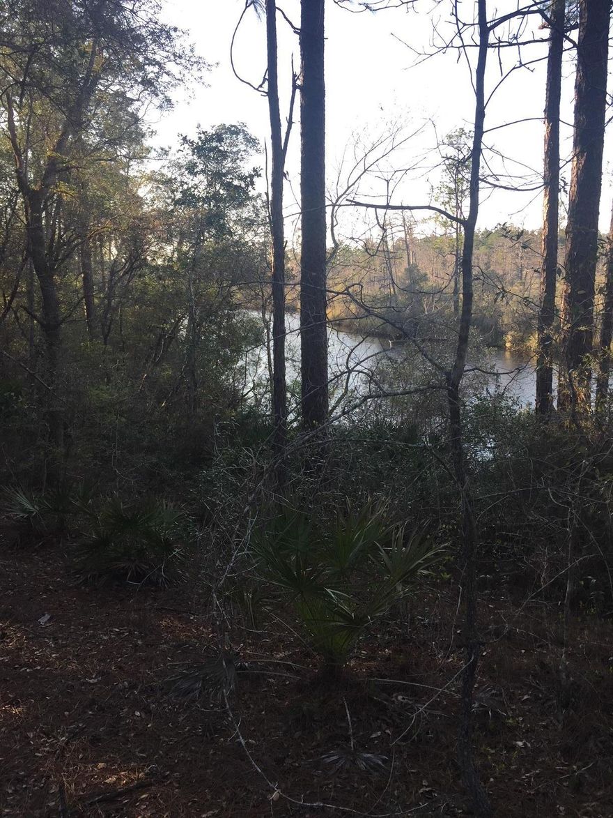 100 acres with 1300 feet on Black Creek. Lots of possibilities with this property!