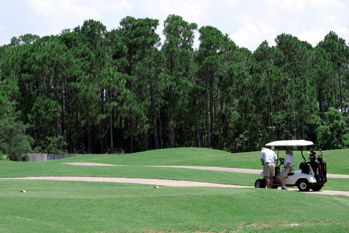 EMERALD BAY PH 1A - Residential