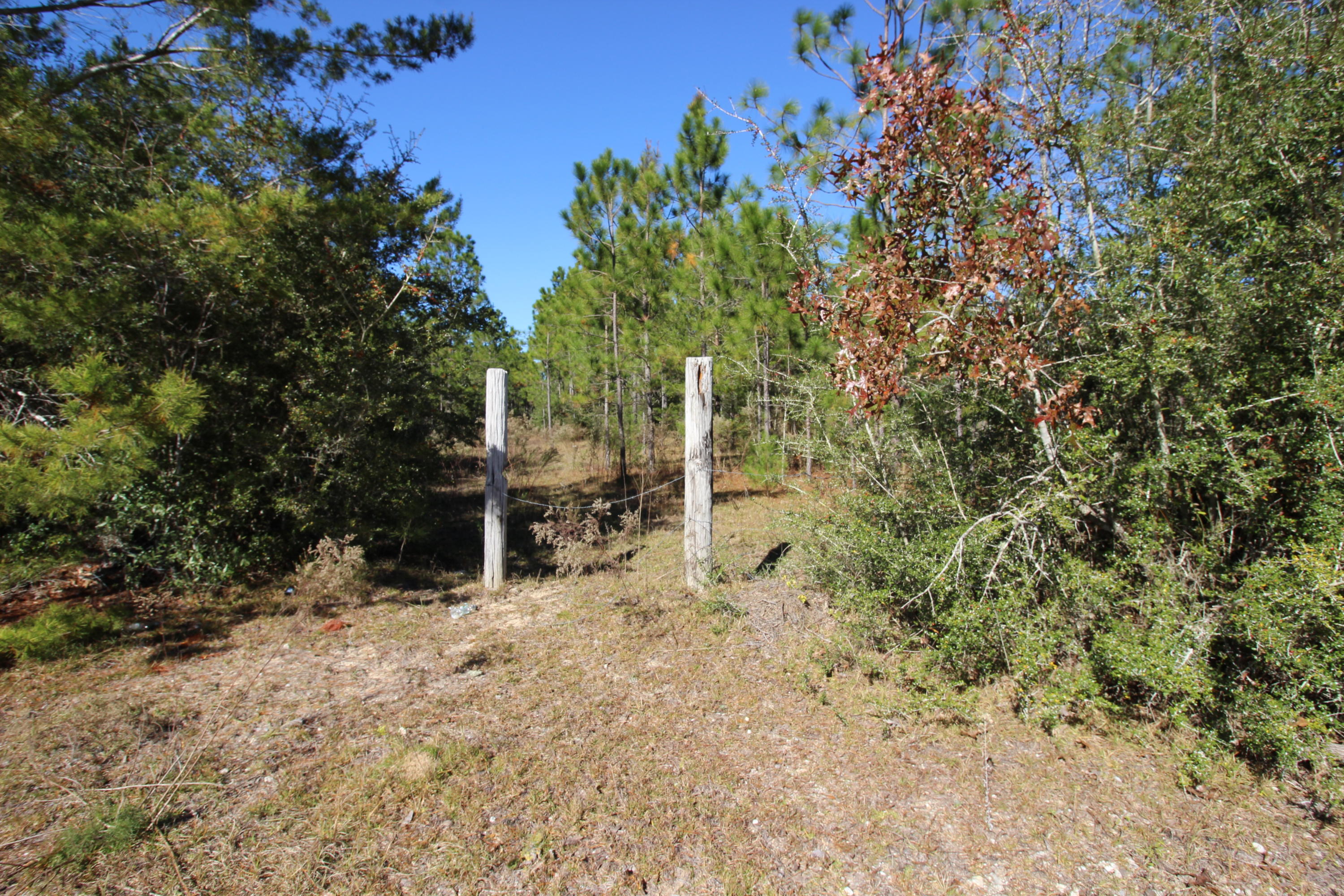 SE4 OF NW4 LYING W OF COUNTY RD NE4 LESS 9.18 AC AS RECD IN OR 74 - Land