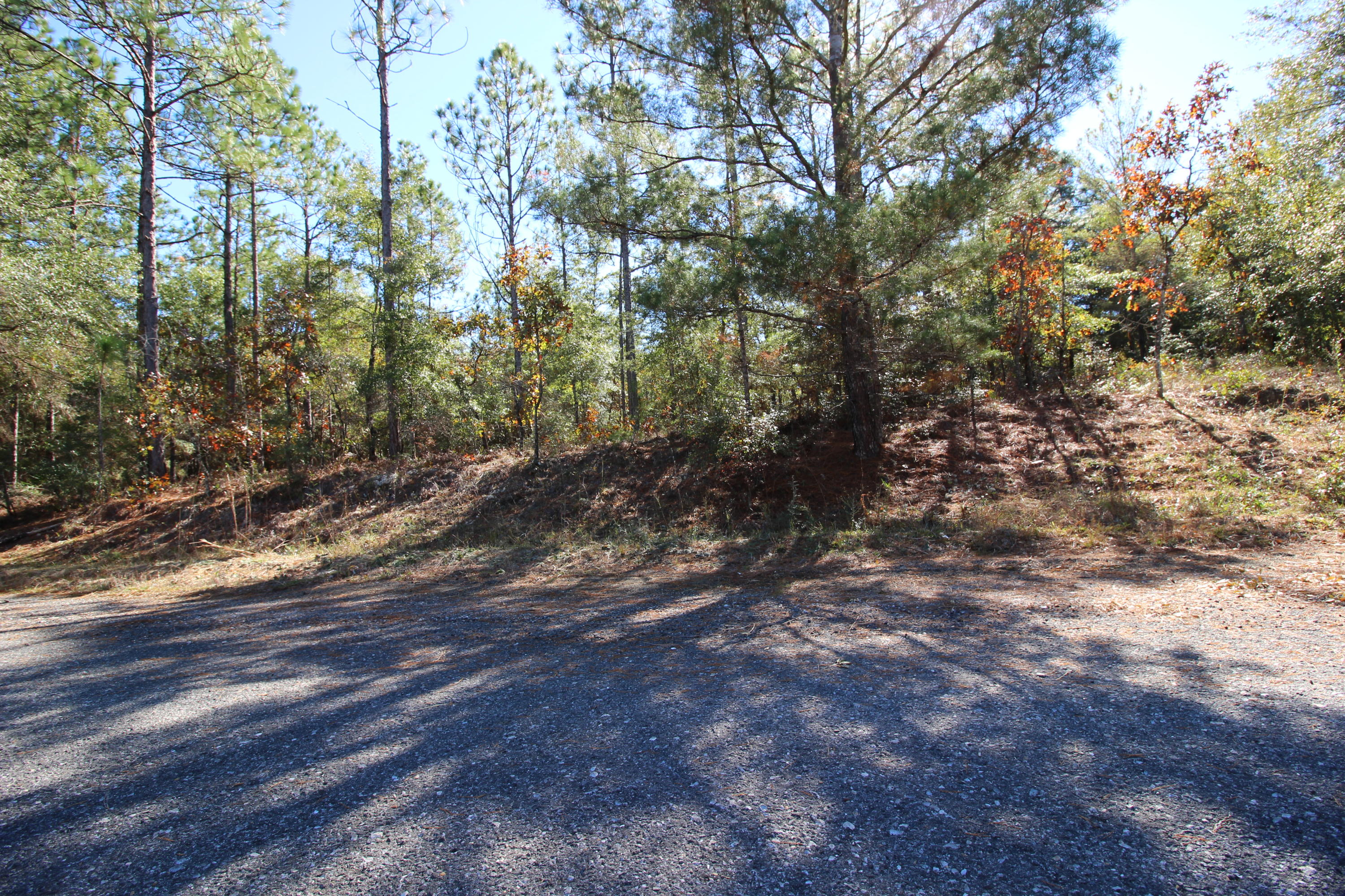 SE4 OF NW4 LYING W OF COUNTY RD NE4 LESS 9.18 AC AS RECD IN OR 74 - Land