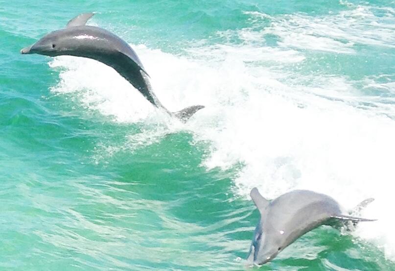 INDIAN OAKS - Residential