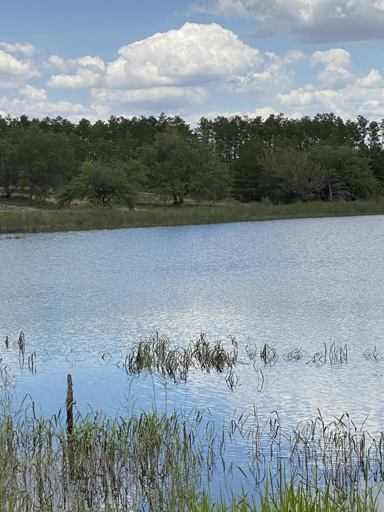 Nearly 2 acres on Bream Pond! Build your dream home on this lot that has 130 feet of pond frontage, filled with beautiful long needled pine trees, nestled in a peaceful community but still close enough to enjoy the Emerald Coast! The Bream Pond subdivision contains around 105 acres of fully platted and permitted land, which includes 43 residential lots and Bream Pond, a 30-acre spring-fed pond that can be used for fishing, swimming, paddle boarding and kayaking. The land is near the southeast corner of the intersection of State 20 and State 77, which makes for a great location! The Seller is a local Builder and would be willing to discuss possible development with the Buyer. Buyer to verify lot dimensions if important.
