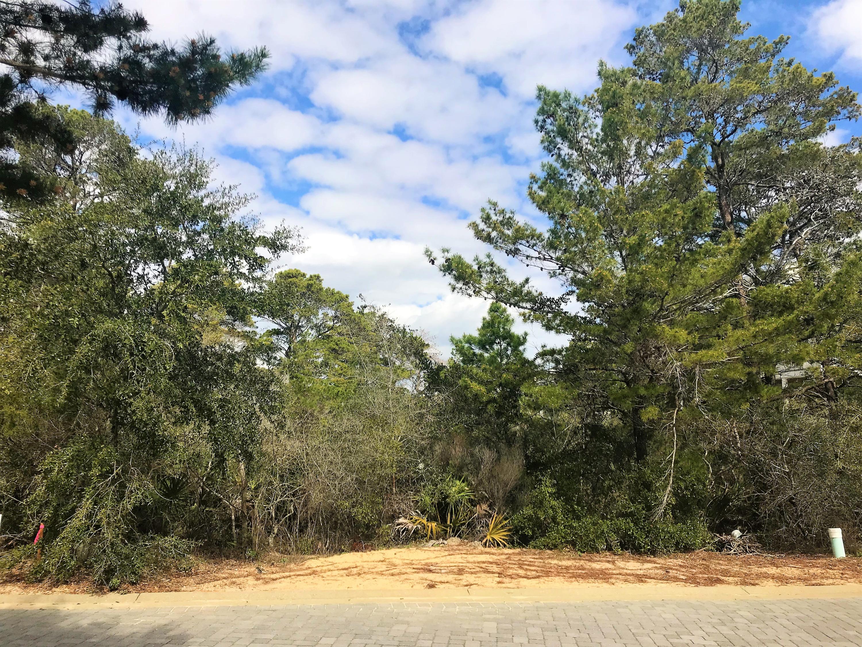 HIGHLAND PARKS AT BLUE MOUNTAIN BEACH - Land