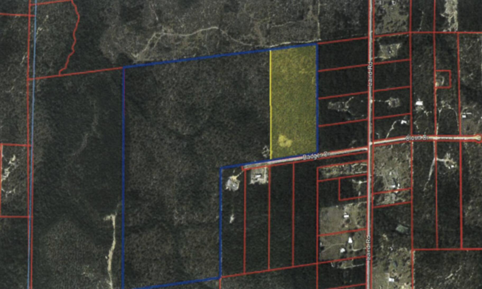 20+/- Ac of Wooded land on Badger Drive, Perfect lot to Build your new home!!! You don't want to miss this opportunity.County Zoning is rural village. Future land use is rural residential.Seller Will consider owner financing offers.