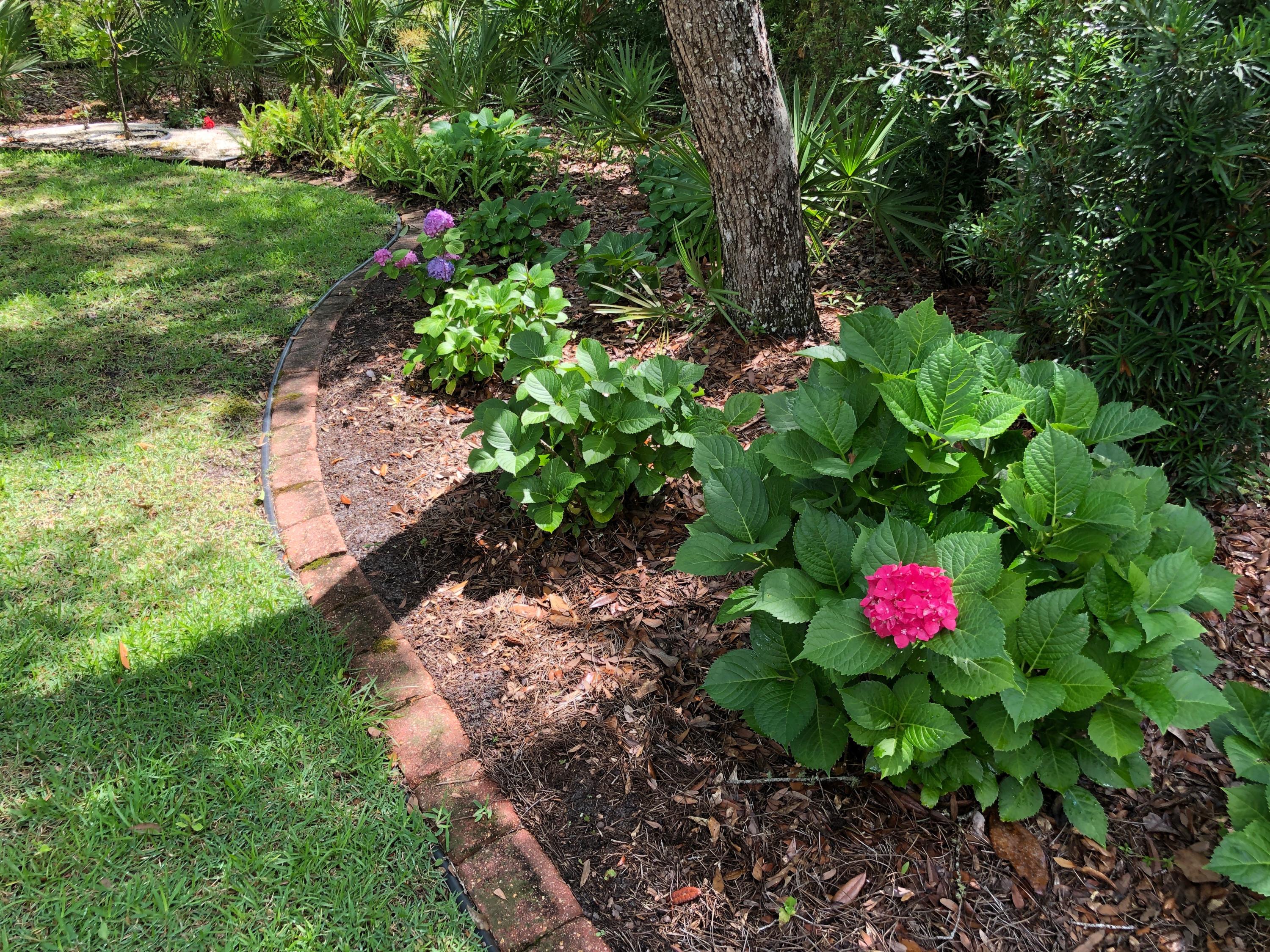 BURNT PINE EAST - Residential