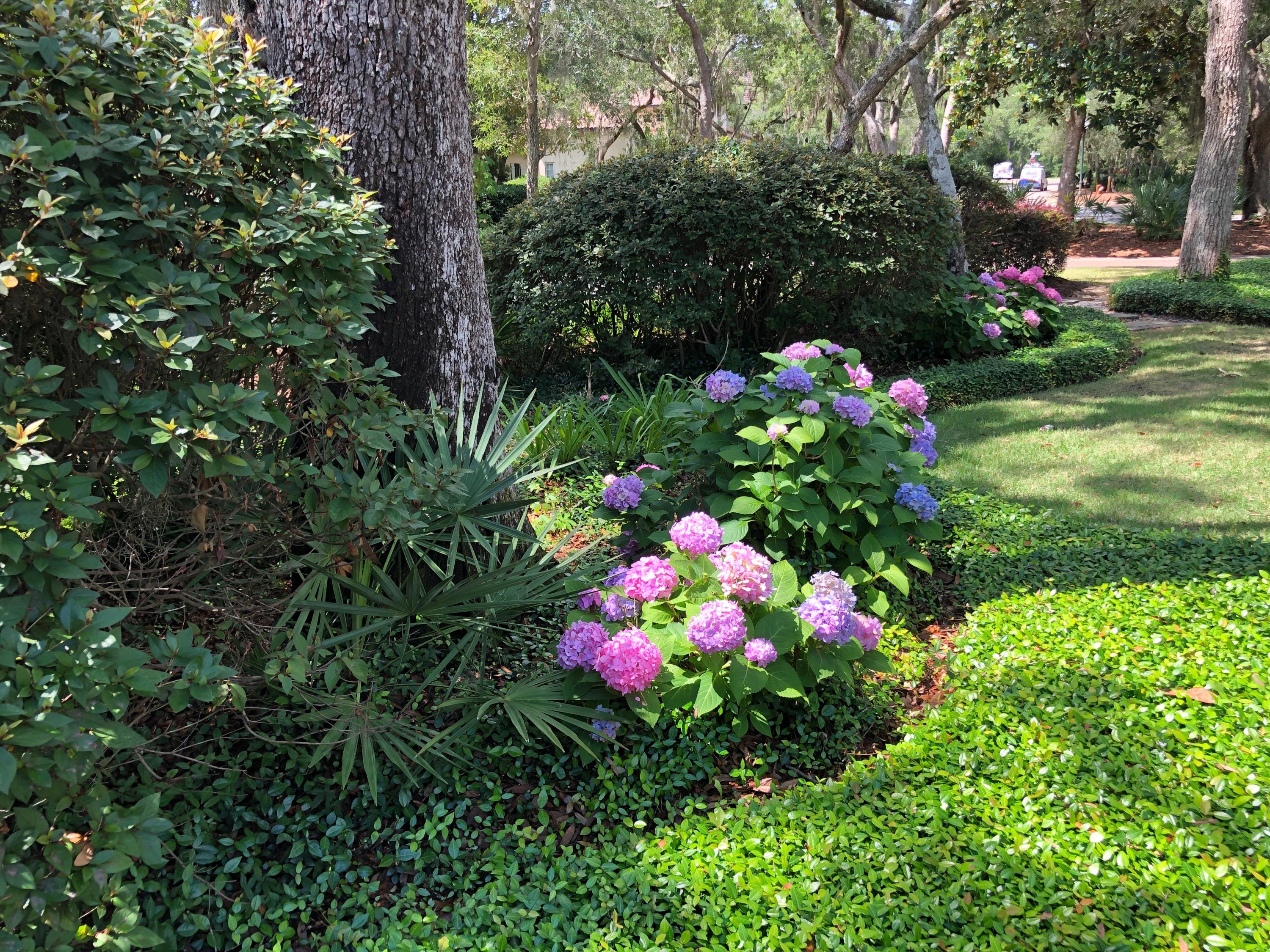 BURNT PINE EAST - Residential