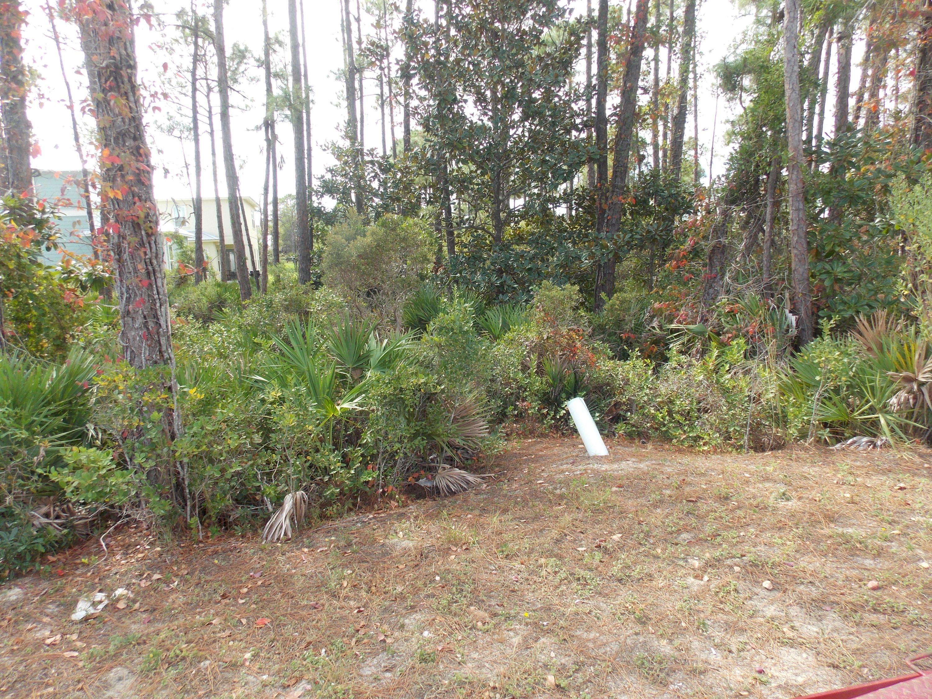 FRANGISTA BEACH - Land