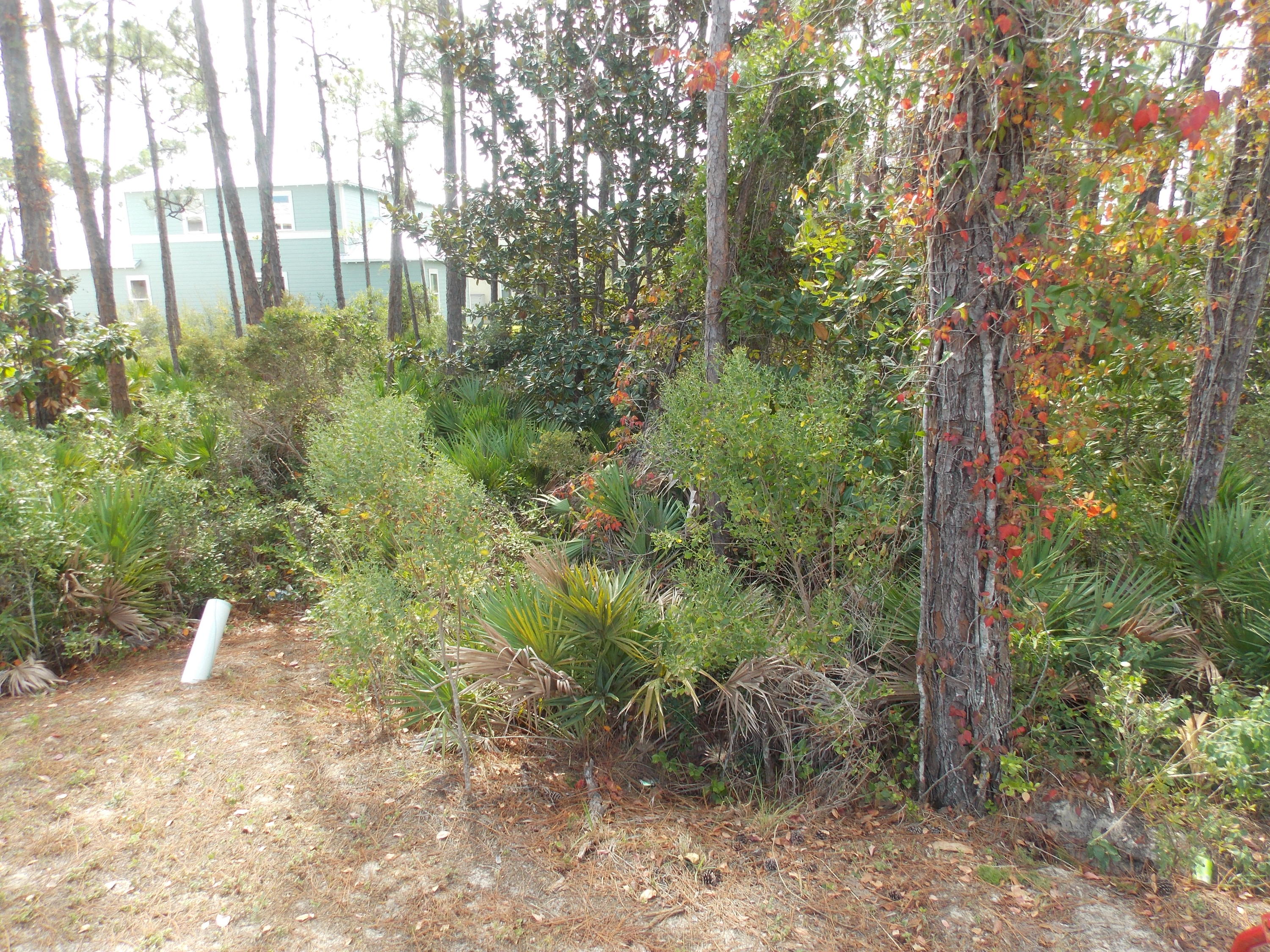 FRANGISTA BEACH - Land