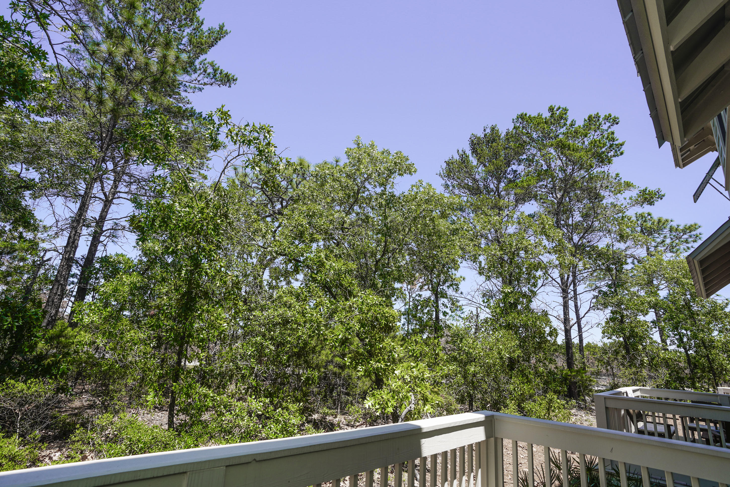 Prominence - Residential
