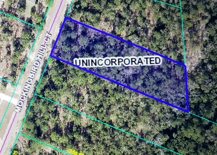 1.18 AC Lot..  Public Water and Electric are Available but tap fees need to be paid. No mobile/modular Homes ~ Homes must be at least 1000 sq ft living space.