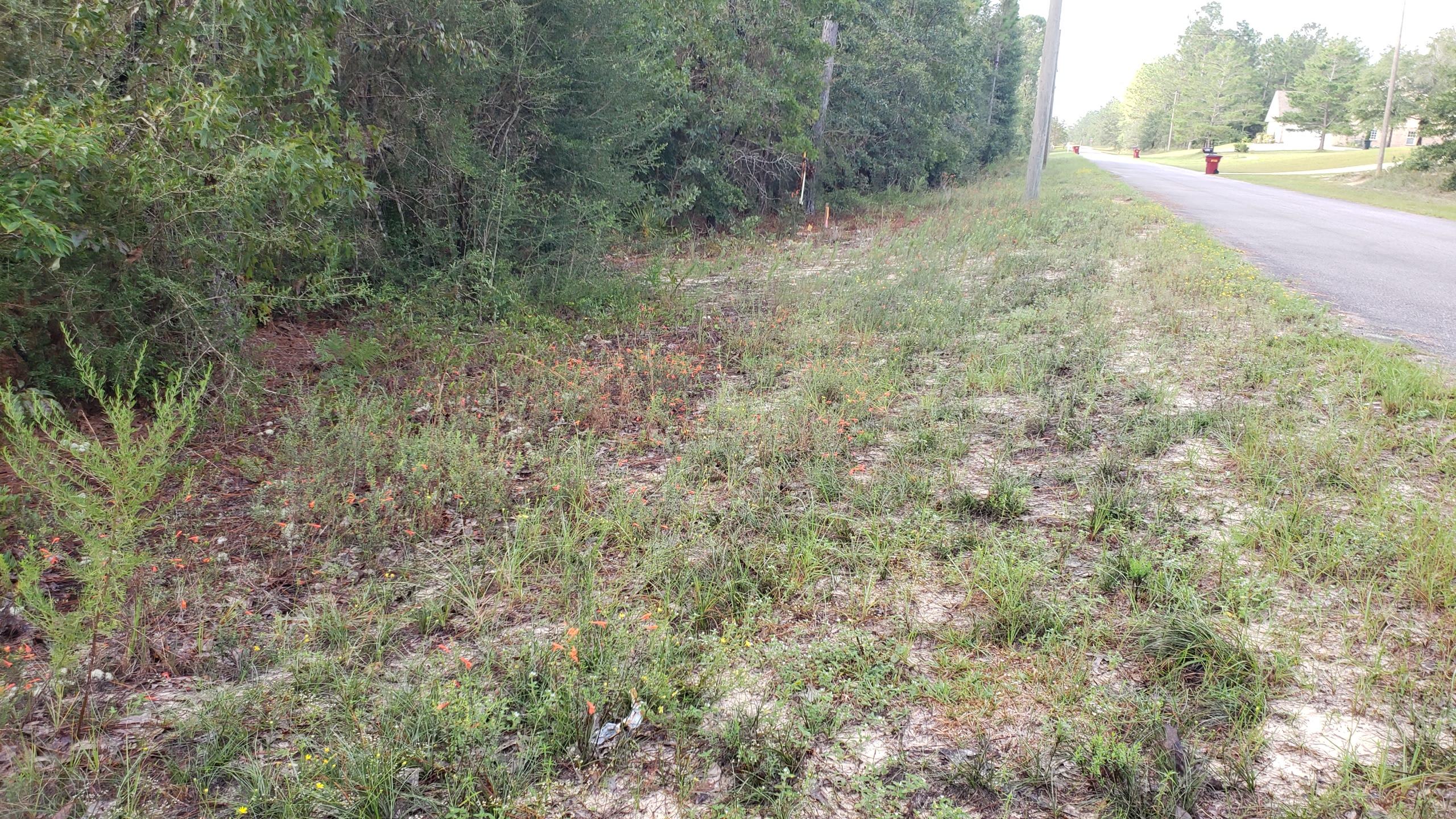 CLEAR CREEK FARMS 1ST ADDN - Land