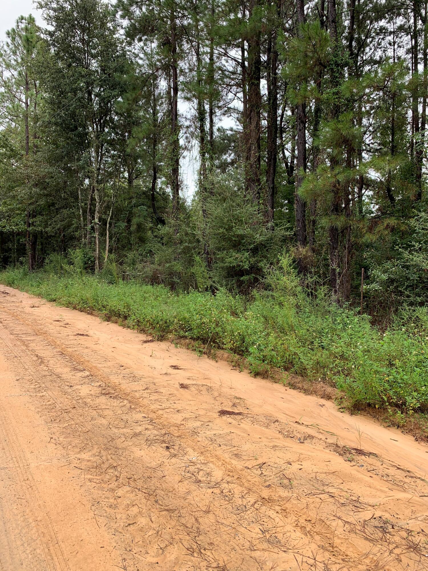 Country setting about 10 miles north of Ponce de leon on a county maintained dirt road. Parcel has a pond which covers about quarter of acre. Property is about 1.5 miles from paved road. The remainder of property is a mixture of large and small trees. Pick out a spot to put your manufactured home or build a home. No restrictions known. A septic and well will be needed.