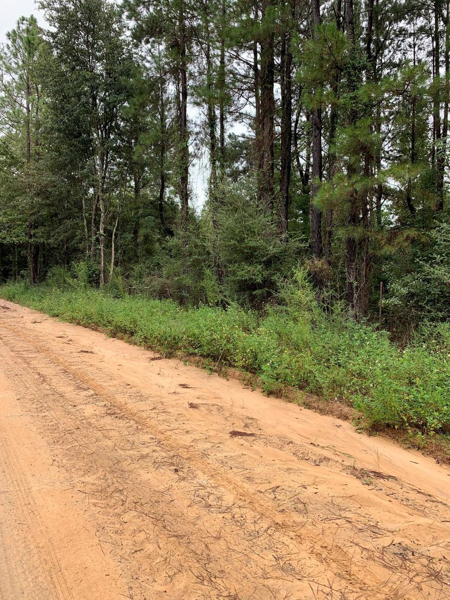 Country setting about 10 miles north of Ponce de leon on a county maintained dirt road.  Parcel has a pond which covers about quarter of acre.  Property is about 1.5 miles from paved road. The remainder of property is a mixture of large and small trees.  Pick out a spot to put your manufactured home or build a home.  No restrictions known.  A septic and well will be needed.