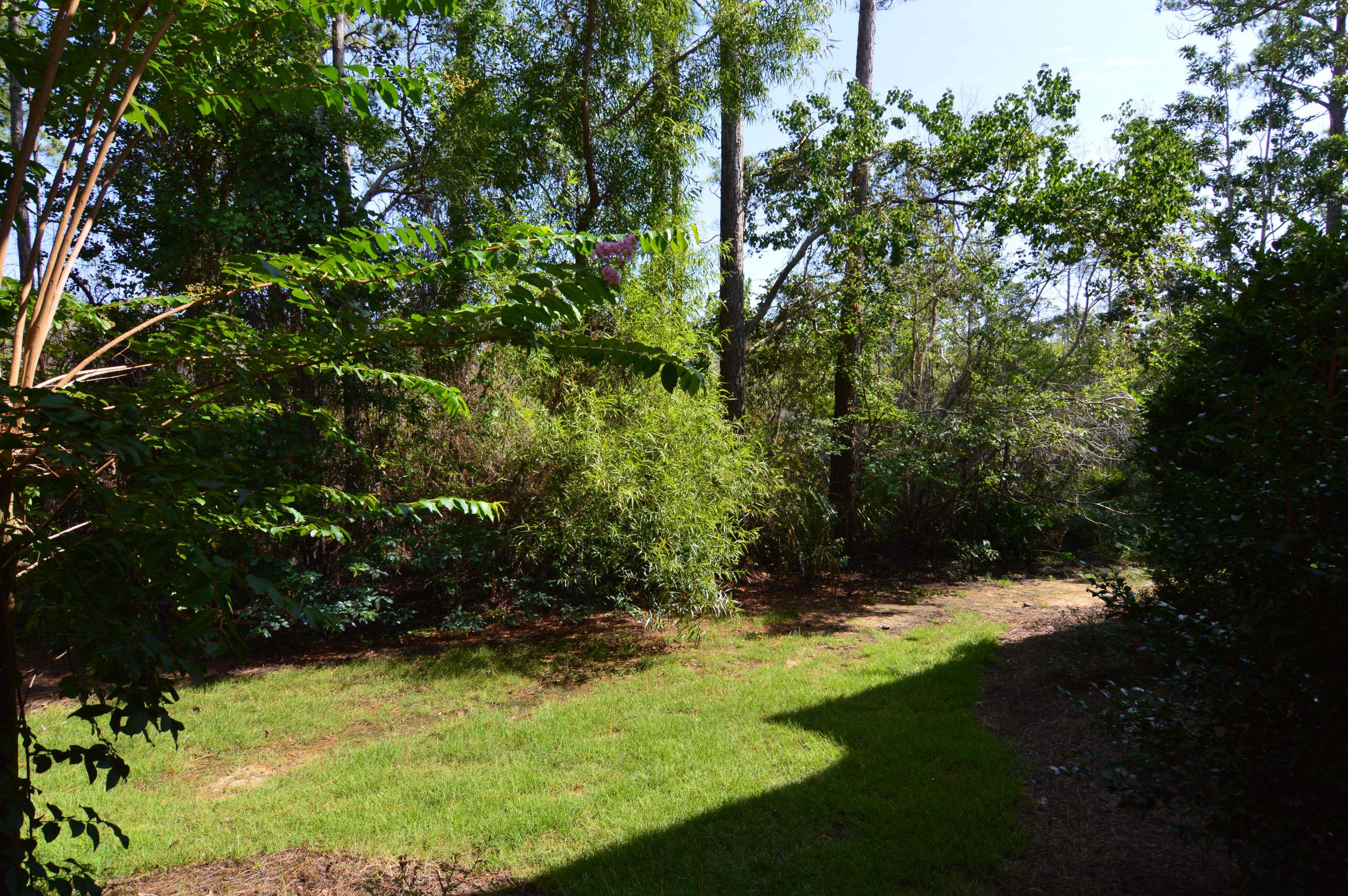 CRYSTAL COVE - Residential