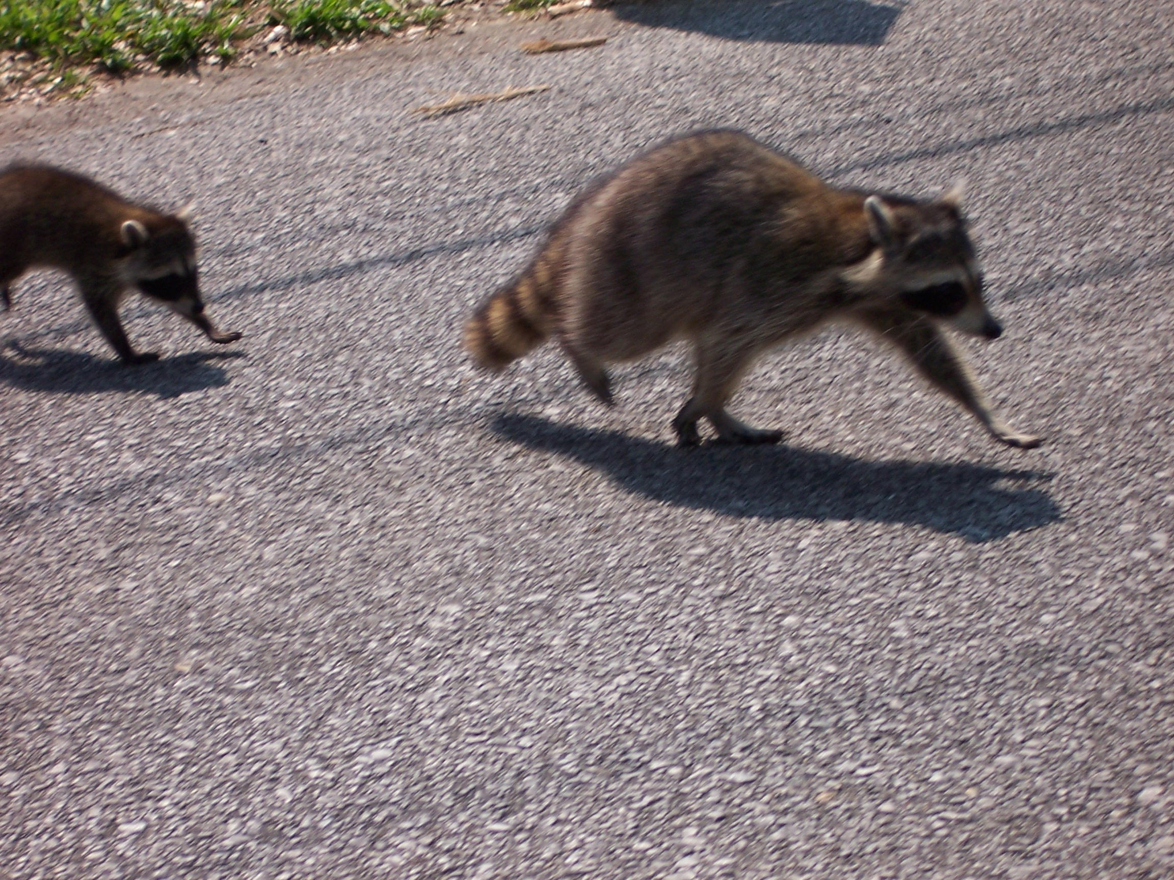 VALPARAISO PLAT 06 - Residential