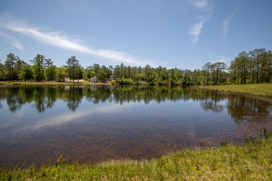 Everything sold as is .. Very unique property private pond on 3 acres.  as is .. VA Okay. Will pass. Waterfront with over 3 acre lot.   All brick home with 3 bedrooms, 2 baths with 3.10 lot and 291.80 ft waterfront- sold as is as is sale, Will pass 4 point inspection.