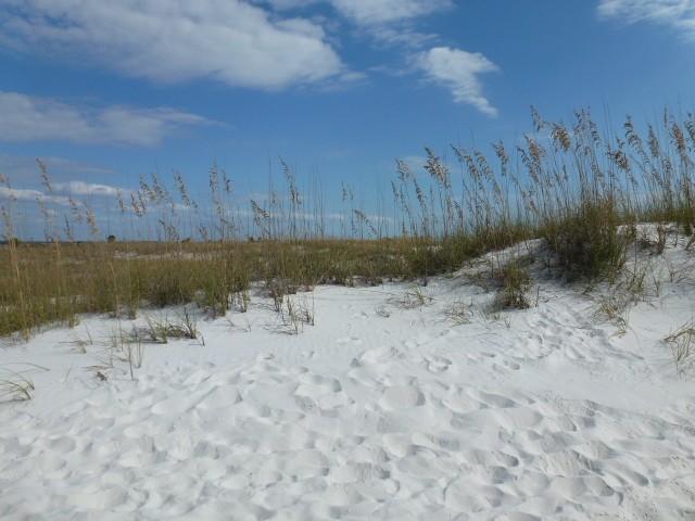 Majestic Beach Tower I - Residential