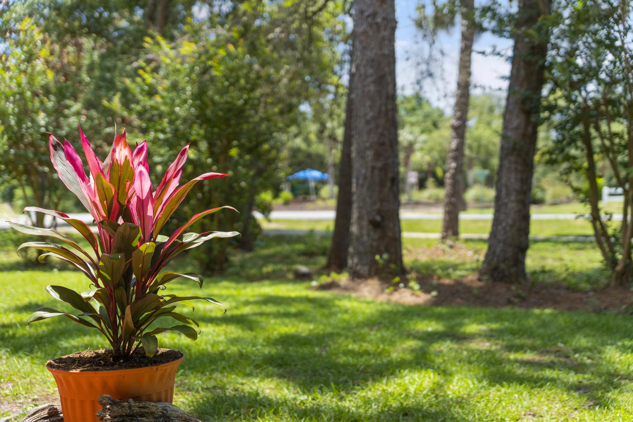 HIDDEN BAY VILLAGE - Residential
