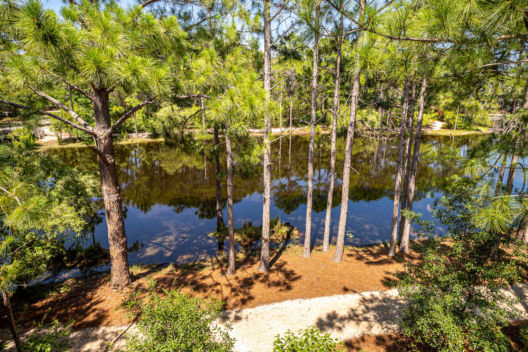 FOREST LAKES PH II - Residential