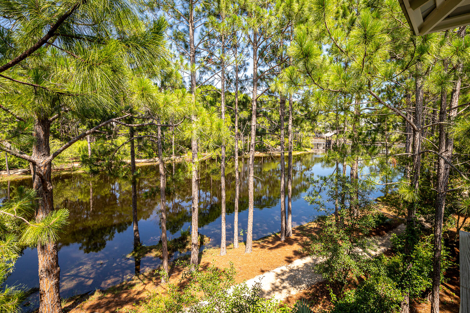 FOREST LAKES PH II - Residential