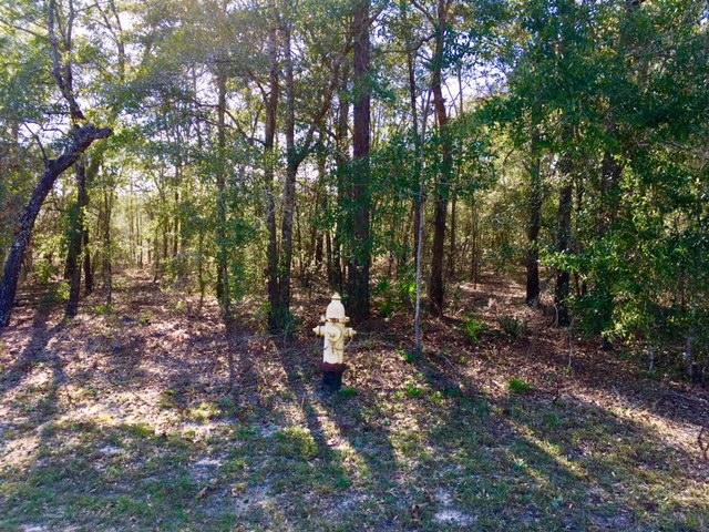 OAKWOOD HILLS UNIT 1 - Land