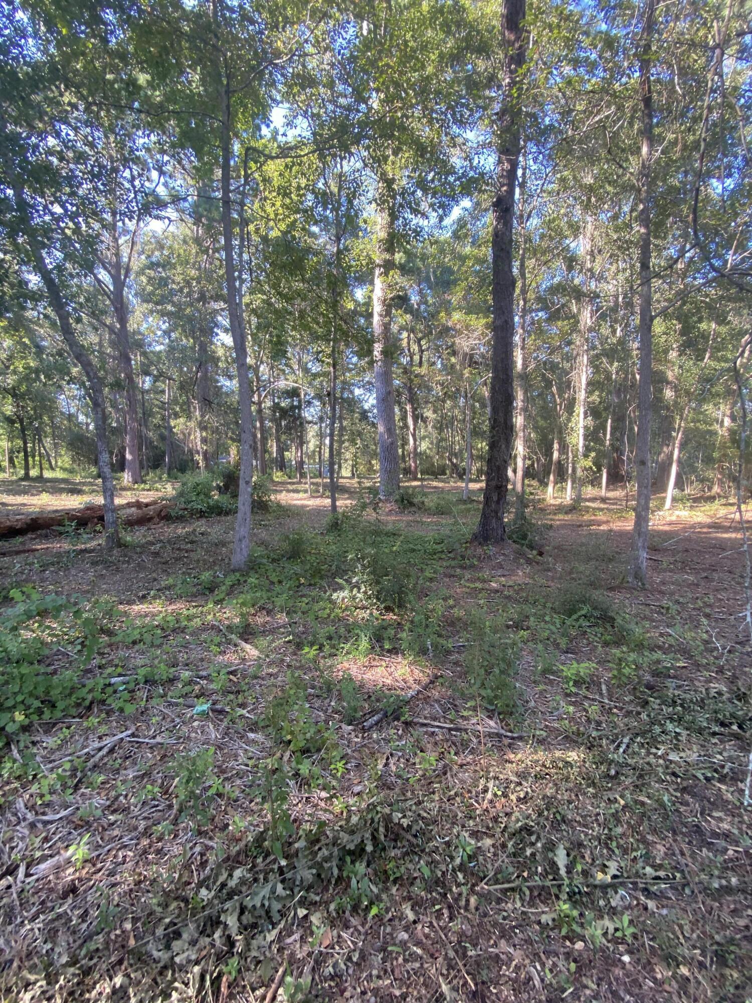 NO RECORDED SUBDIVISION - Land