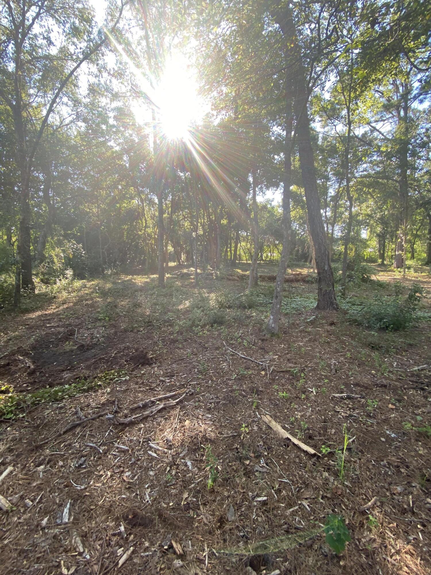 NO RECORDED SUBDIVISION - Land