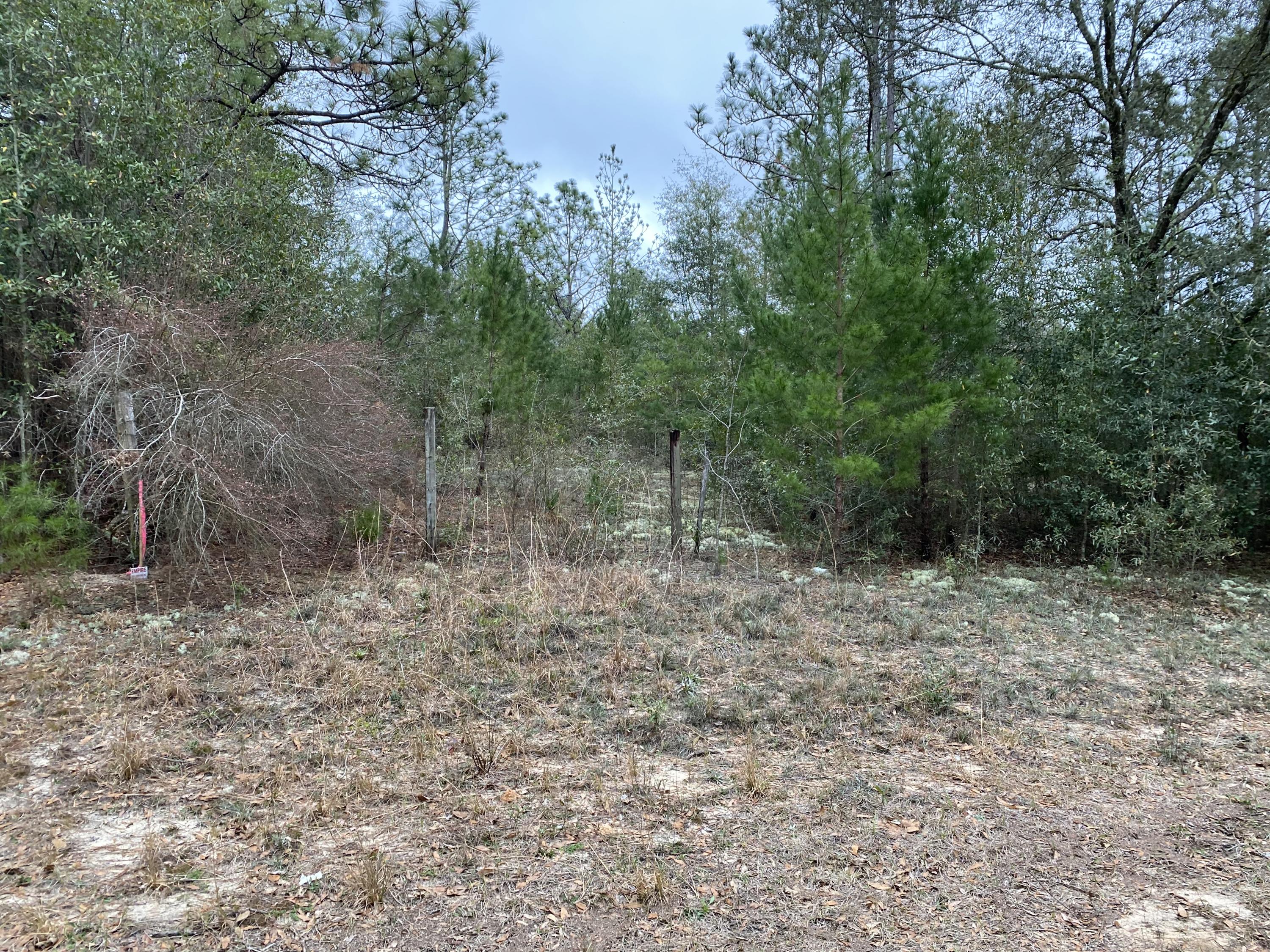 Three acres of vacant land with beautiful lakeside access to Nichols Creek which is directly across the street. Property runs from East Lake Road back . It was part of a parcel that goes to other side of Nichols Creek Dr. turinng into Santa Gertrudas Drive that has been split up creating a 3 acres new parcel with access coming from East Lake Road. This is a must see parcel with brand new homes surrounding this land.