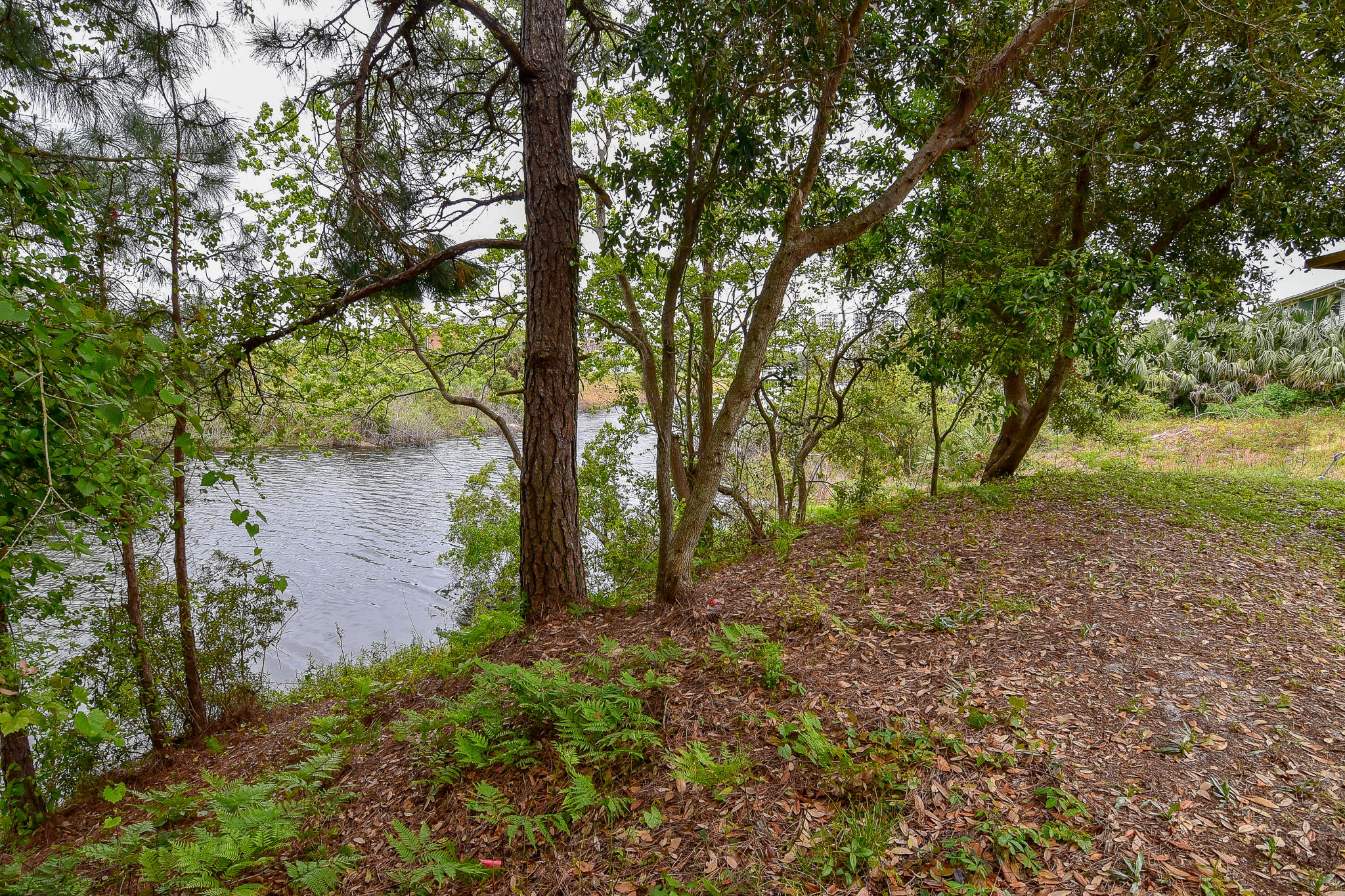 QUAIL LAKE - Residential