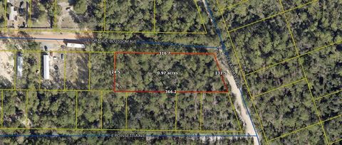 9-12 Clearwater Drive (4 lots) DeFuniak Springs FL 32433