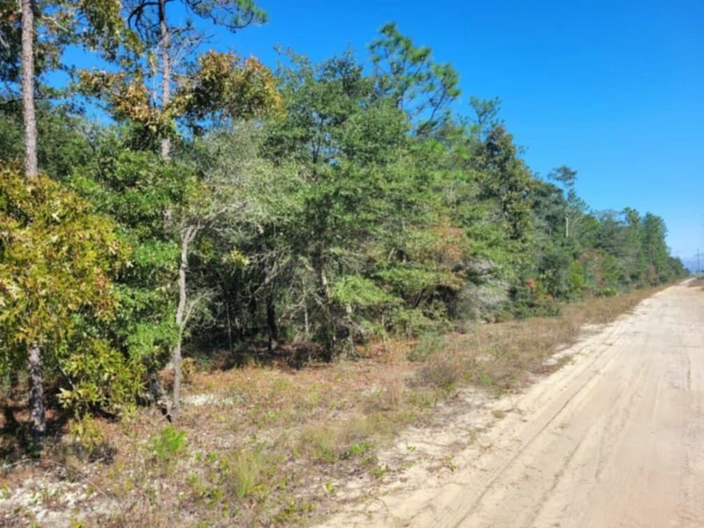 Looking for Seclusion! Beautifully wood lot approx .52 acres between DeFuniak Springs FL and Mossyhead.Modular homes allowed. No HOA. Minimal Restrictions. There are no existing utilities. Well/Power/Septic required.Property is Flood Zone X. Per the Walton GIS mapping, the property does not appear to have wetlands.Easy access to the I-10 & CR 285 south making it a great location for work no matter what direction you need to go! You will be approx. 30-45 mins to most workplaces as well as the beautiful white sandy beaches of Florida famous Emerald Gulf Coast and Crab Island.Buyer needs to verify building codes, zoning regulations, wetlands and flood zones, etc with proper local authorities to ensure buyer will be able to utilize the property for intended use. Information contained within this listing is deemed to be accurate but is not guaranteed.
