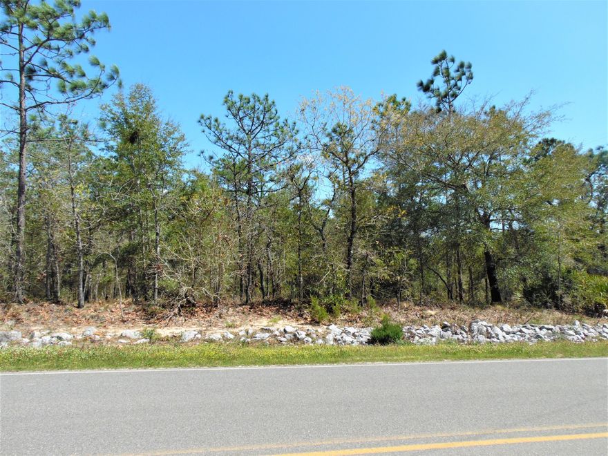 Paved road with ..30 acre lot with seasonal stream. Click under document tab above for copy of plat. There are two lots next to this for sale also.
