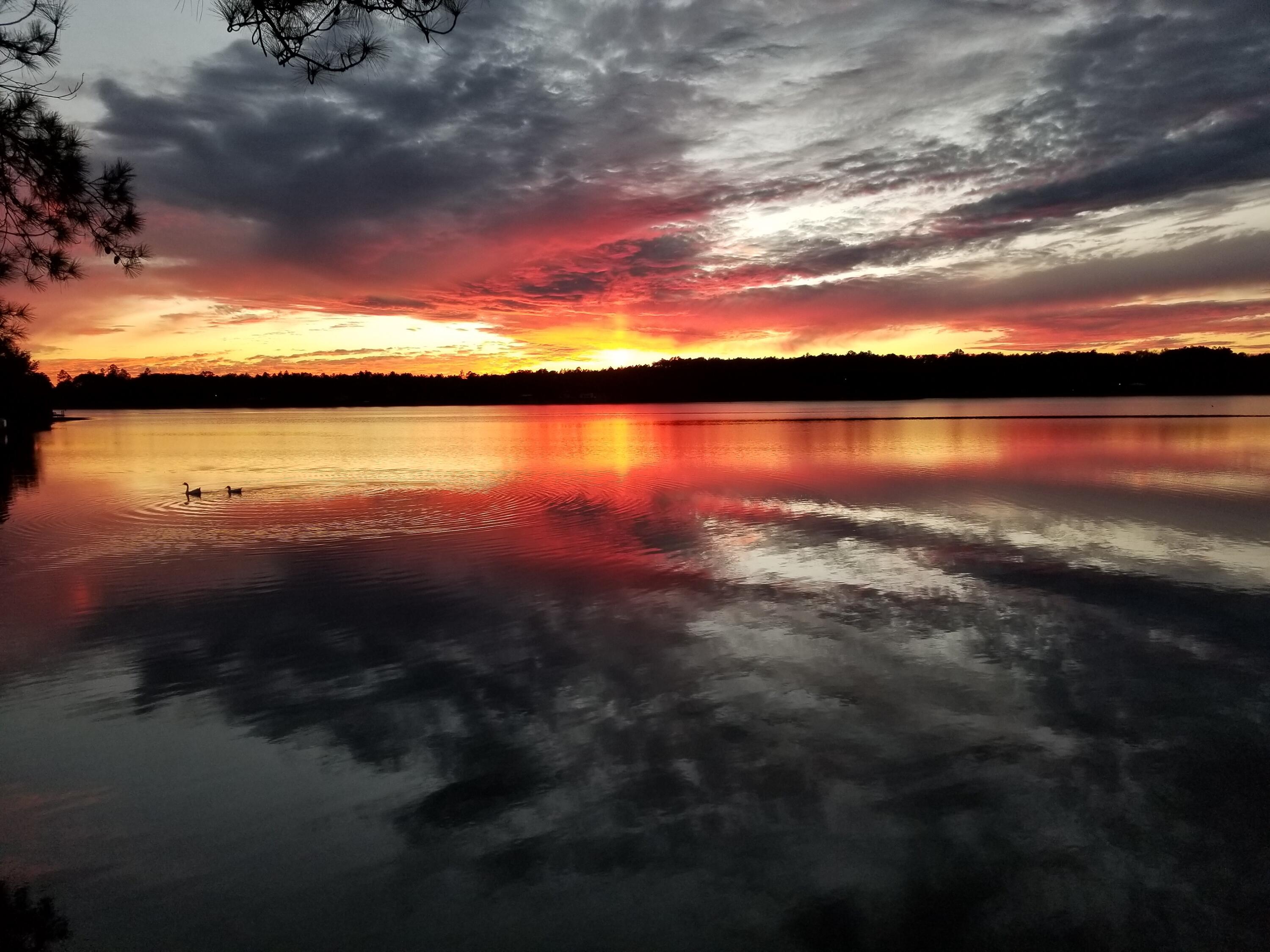 SPRING LAKE ESTATES - Residential