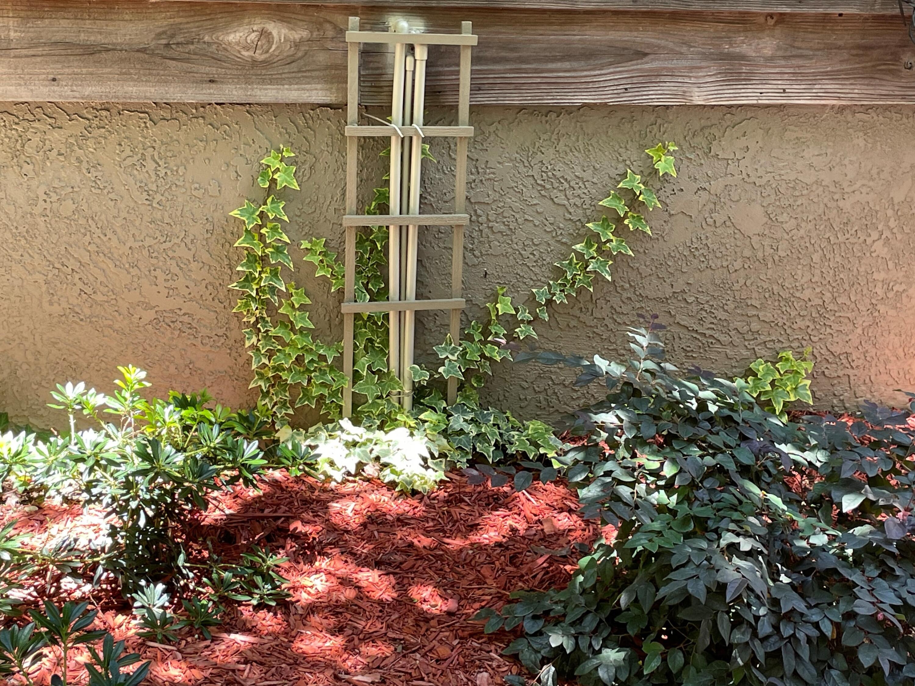 SPRING LAKE ESTATES - Residential