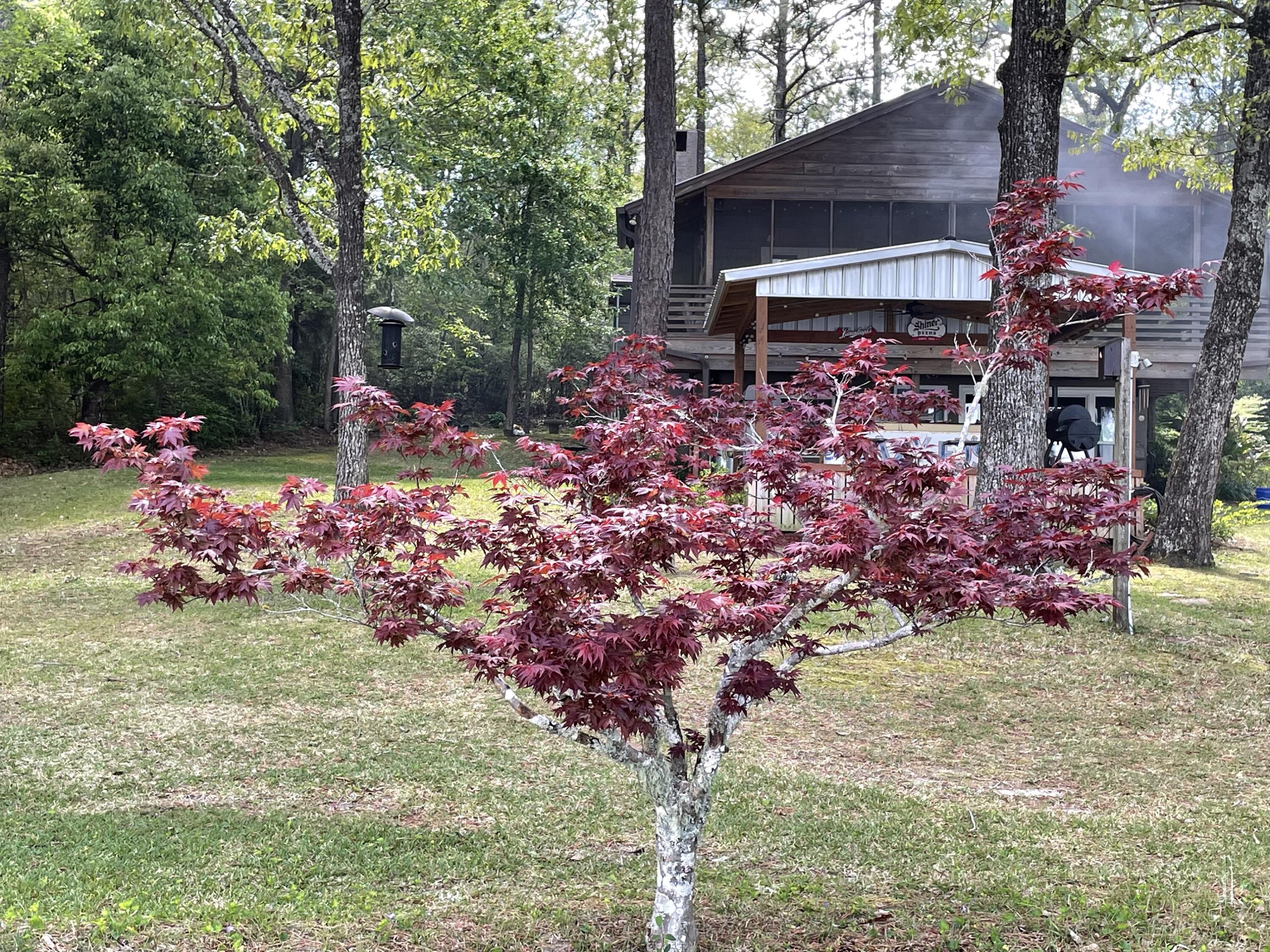 SPRING LAKE ESTATES - Residential