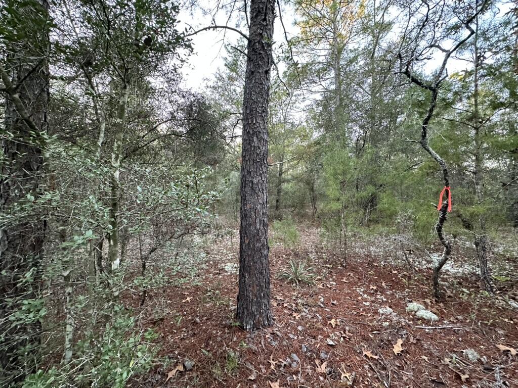 Oakwood Hills Unit 2 - Land